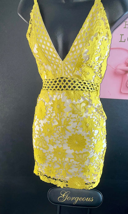 Promiscuous Dress
