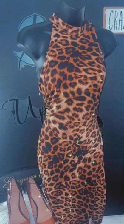Hot Momma Cheetah