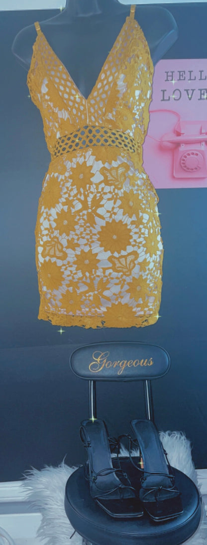 Promiscuous Dress