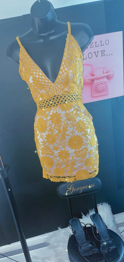 Promiscuous Dress