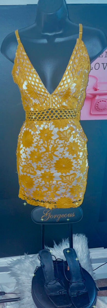 Promiscuous Dress